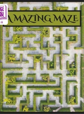 海外直订A Mazing Maze 迷宫