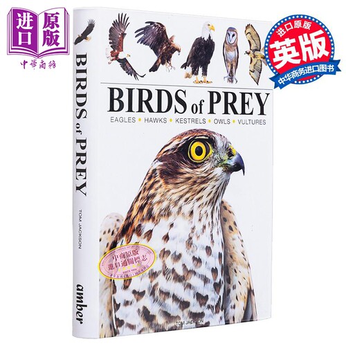 迷你百科系列猛禽百科
