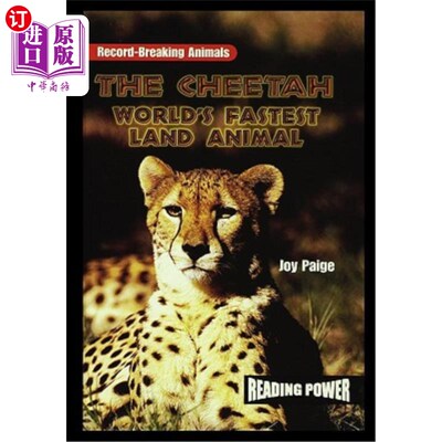 海外直订The Cheetah: World's Fastest Land Animal 猎豹：世界上最快的陆地动物