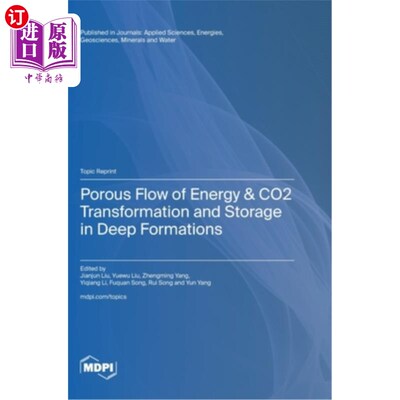 海外直订Porous Flow of Energy & CO2 Transformation and Storage in Deep Formations 深层能量的多孔流动与CO2的转化与储