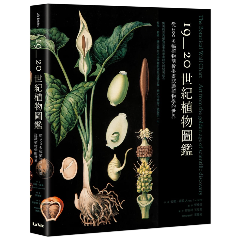 19至20世纪植物图鉴AnnaLaurent