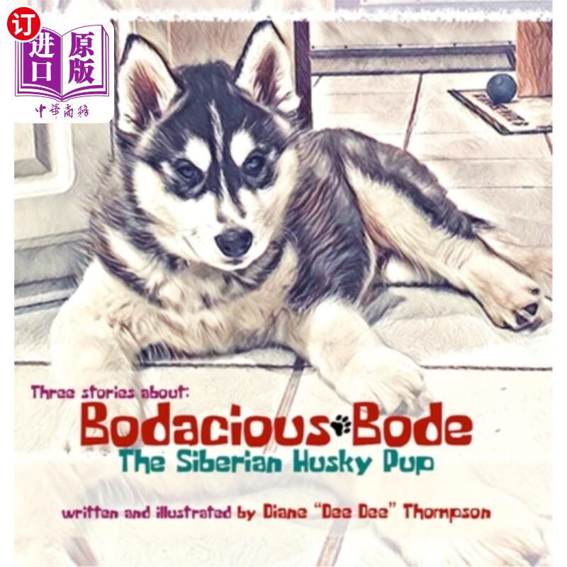 海外直订Bodacious Bode - The Siberian Husky Pup 大胆的波德-西伯利亚哈士奇小狗