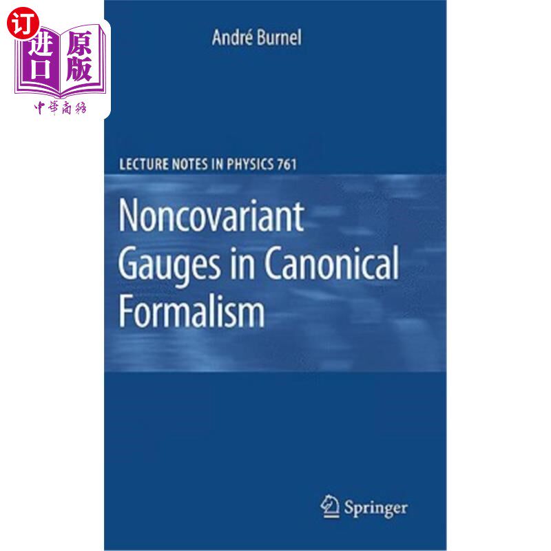 海外直订Noncovariant Gauges in Canonical Formalism 标准形式主义中的非协变量规