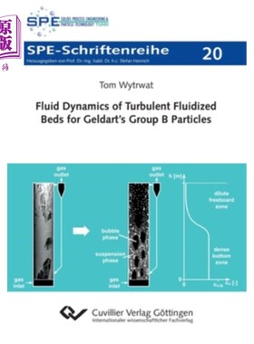 海外直订Fluid Dynamics of Turbulent Fluidized Beds for Geldart's Group B Particles 吉尔达特B组颗粒的湍流流化床流体