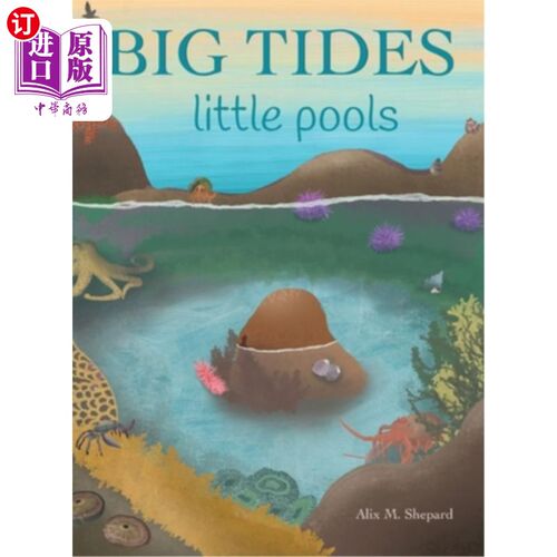 海外直订Big Tides Little Pools 大潮汐小水塘