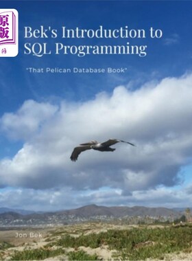 海外直订Bek's Introduction to SQL Programming: 