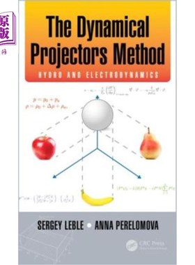 海外直订The Dynamical Projectors Method: Hydro and Electrodynamics 动态投影方法:水力和电动力学