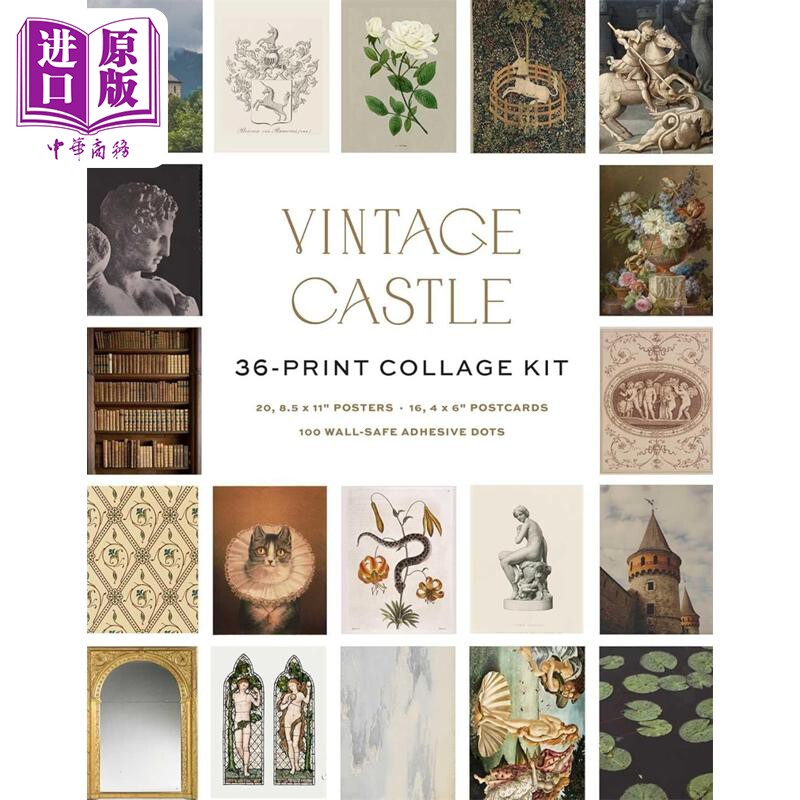 预售 复古城堡墙贴拼贴套装 Vintage Castle Wall Collage Kit 英文原版 Insight Editions  拼贴素材套装【中商原版】