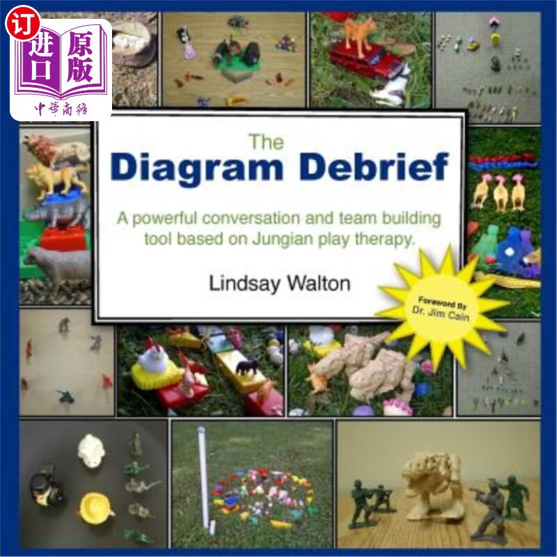 海外直订The Diagram Debrief 图表汇报
