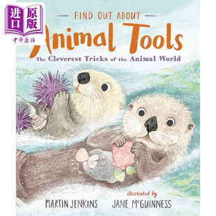 Martin Out Find 预售 Animal 进口 9岁 百科知识精品绘本 Jenkins 儿童科普绘本 Tools英文原版 中商原版 About 了解动物工具