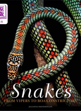海外直订Snakes: From Vipers to Boa Constrictors 蛇:从毒蛇到大蟒蛇
