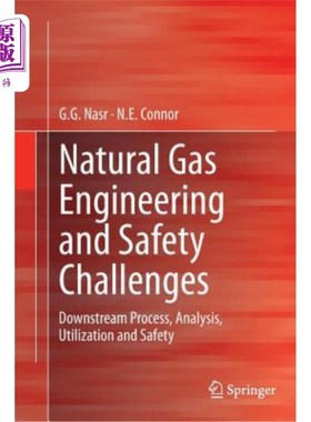 海外直订Natural Gas Engineering and Safety Challenges: Downstream Process, Analysis, Uti 天然气工程与安全挑战:下游