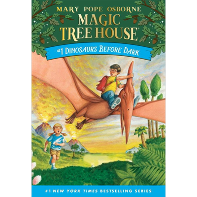 The Magic Tree House 神奇树屋第一季 第二季梅林的任务 英文原版 桥梁书章节书 分阶英语阅读 美国中小学生课外读物【中商原版】