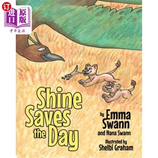 Day the 阳光拯救了一天 Saves 海外直订Shine