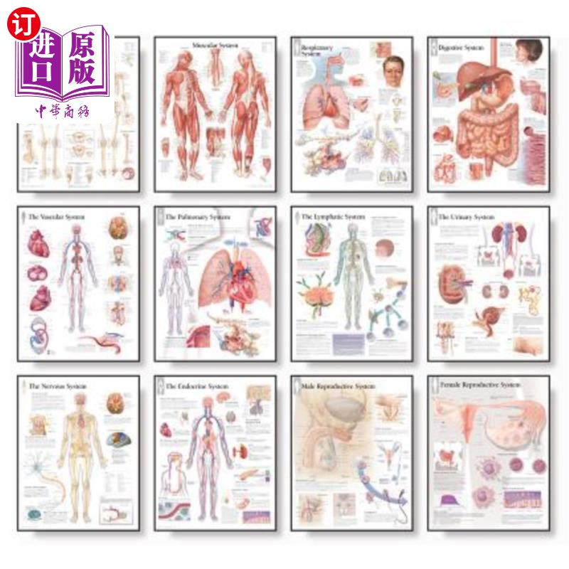 海外直订医药图书The Body Systems Chart Set: Laminated Wall Chart 主体系统图表集:层压挂图