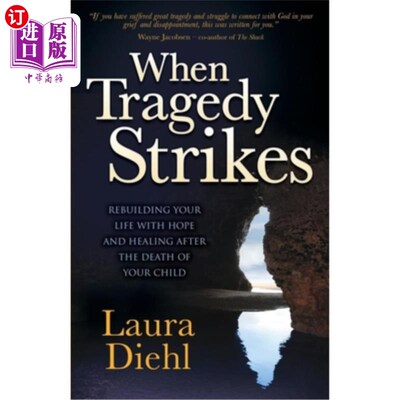 海外直订When Tragedy Strikes: Rebuilding Your Life with Hope and Healing After the Death 当悲剧来临时：用希望重建你