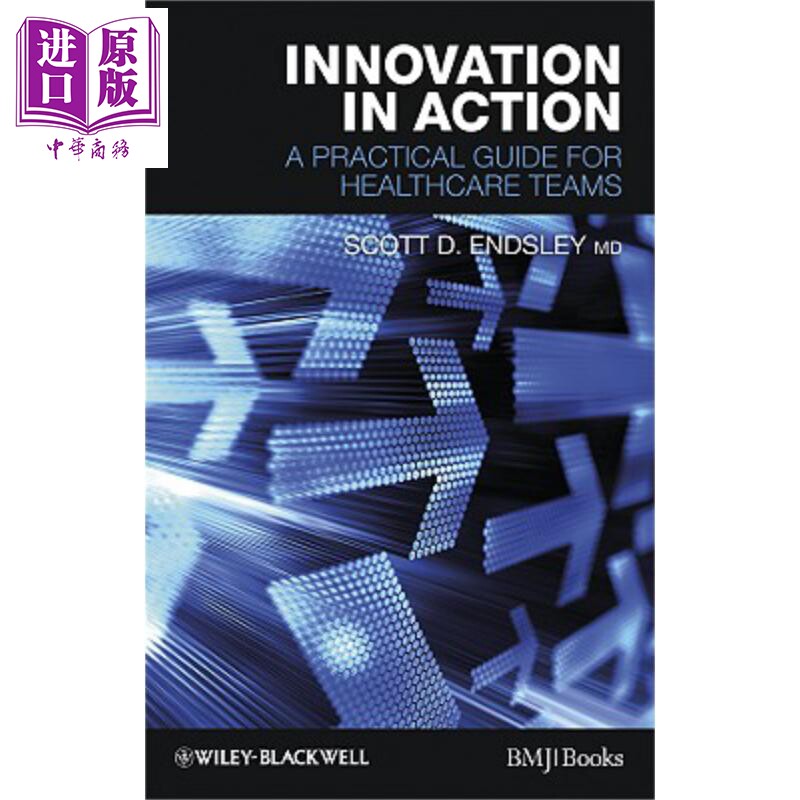 创新行动 医疗小组实用指南 Innovation In Action  A Practical Guide For Healthcare Teams 英文原版 D Scott Endsley  wi