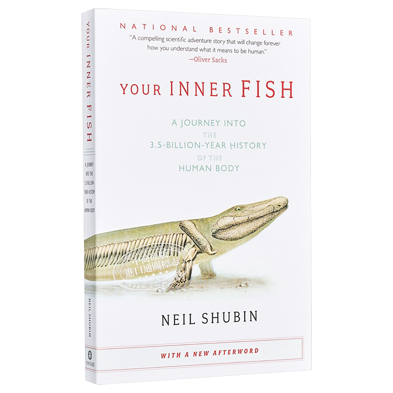 你是怎么来的:35亿年的人体之旅 Neil Shubin 英文原版 Your Inner Fish【中商原版】