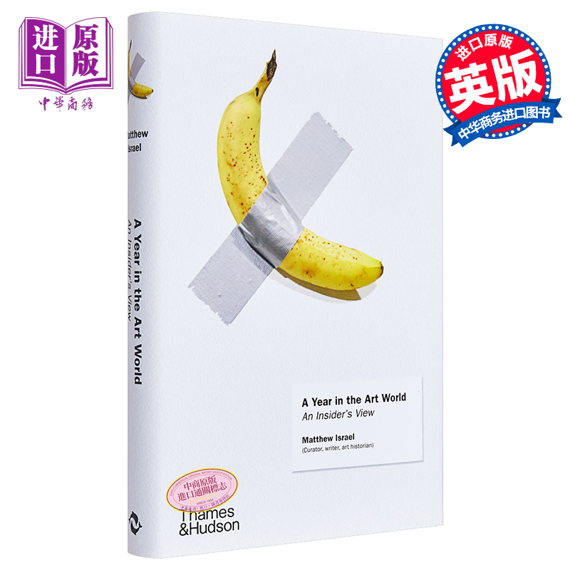 A Year In The Art World 进口艺术 艺术世界的一年 当代艺术入门理论历史【中商原版】