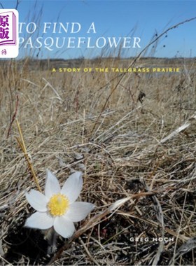 海外直订To Find a Pasqueflower: A Story of the Tallgrass Prairie 寻找pasquflower:一个关于高草草原的故事