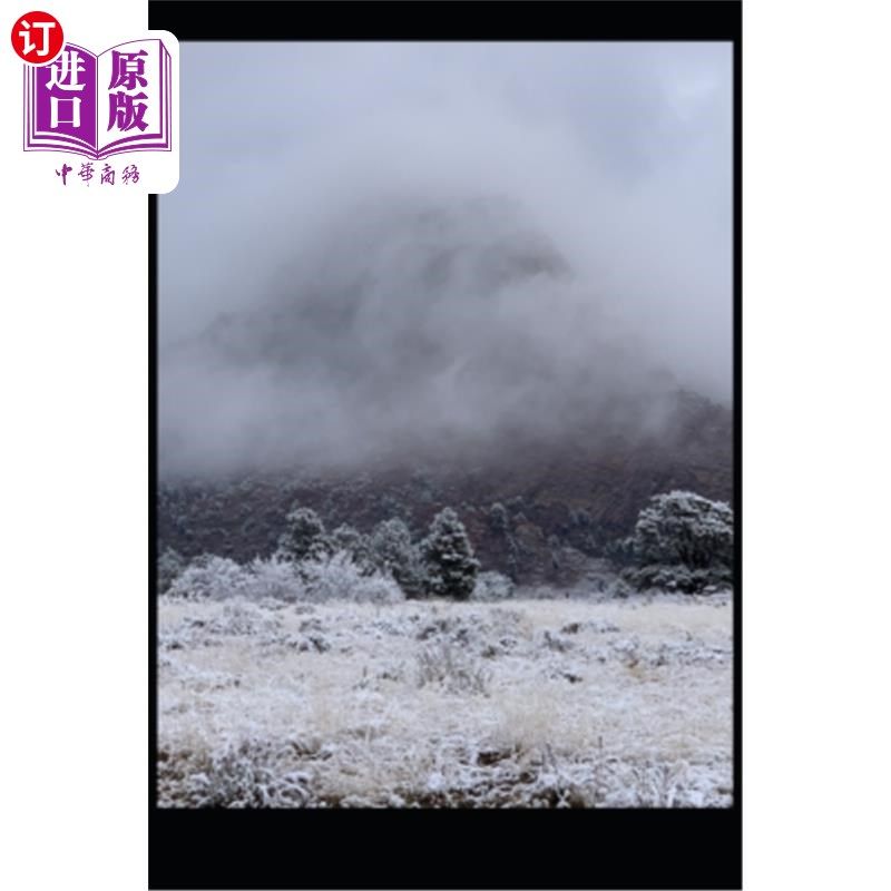 预售 epigrams, aphorism, & other brief absurdities: (expanded)