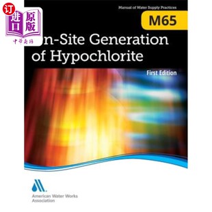 Hypochlorite Site M65次氯酸盐现场生成 Generation 海外直订M65