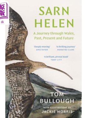 萨恩 海伦 威尔士的过去 现在和未来之旅 2023 年水石威尔士年度图书奖 英文原版 Tom Bullough【中商原版】