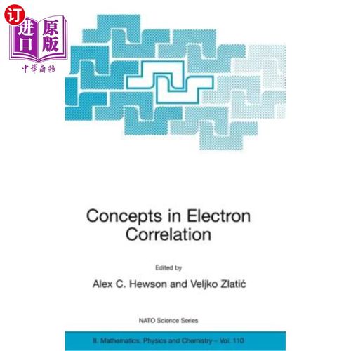 海外直订Concepts in Electron Correlation 电子相关的概念