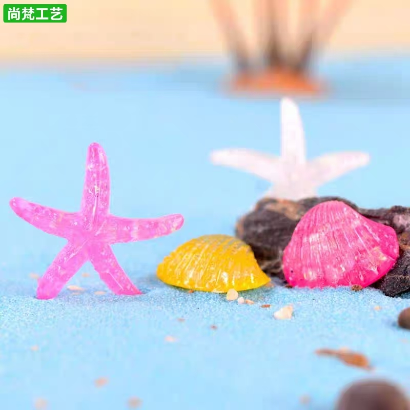 水晶海星贝壳微景观装饰造景摆件