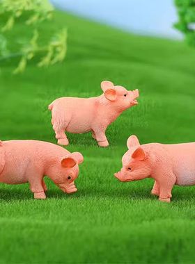 新款写实小猪微景观DIY造景装饰