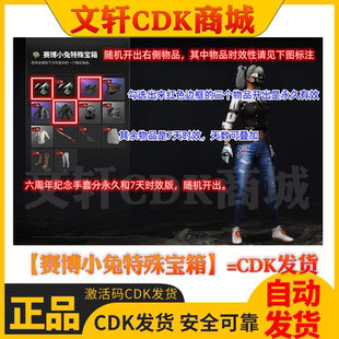 PUBG绝地求生赛博小兔特殊宝箱赛博小兔手套宝箱端游兑换码CDK