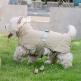 Корейская щенка на открытом воздухе горячая куртка домашние животные домашние животные осень и зимняя собака маленькая и маленькая собака