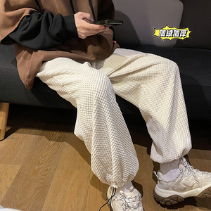 秋冬季新款新面料菠萝绒加绒加厚休闲裤 TY238图片