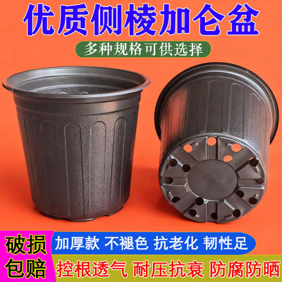 加厚黑色加仑盆营养钵塑料培育盆