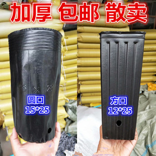 脐橙杯柑橘杯细长形加厚加高黑色方口营养钵营养杯沃甘杯蔷薇提根