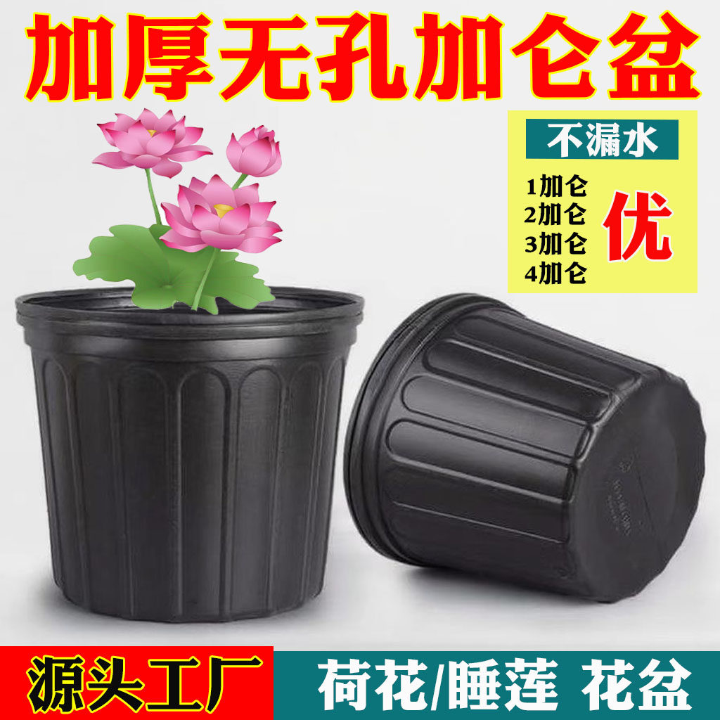 无洞黑色加仑花盆塑料无孔荷花盆不漏水碗莲盆加厚摔不坏水生植物图片