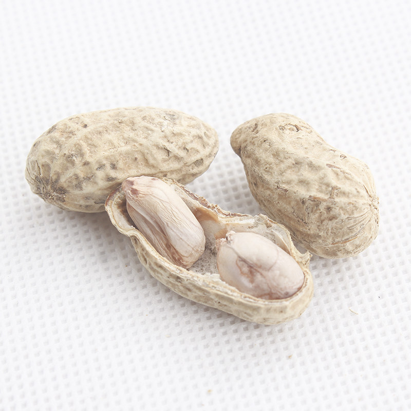 英德水煮翻秋花生秋季采摘生晒花生甘甜韧性有嚼劲清远特产零食