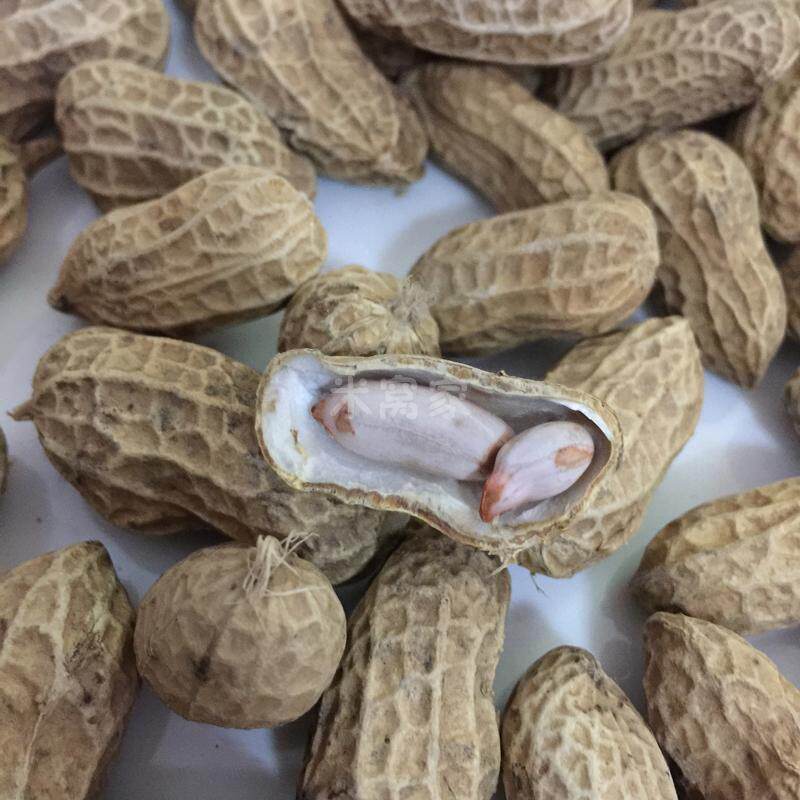 2025新花生英德本地水煮花生带壳秋季微咸味不上火熟坚果零食