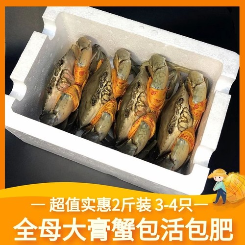 正宗三门青蟹顺丰包邮年货大螃蟹