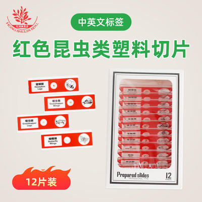 切片标本中英文塑料生物儿童12片装显微镜昆虫生物玻片清晰易观察