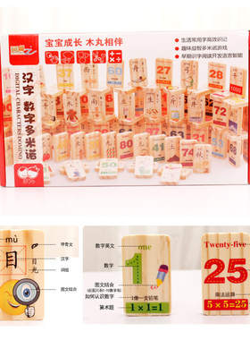 儿童益智玩具木制100片双面汉字多米诺多米诺骨牌积木玩具
