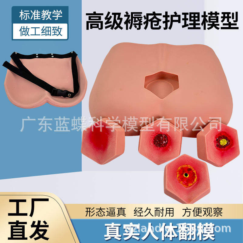 模具褥疮护理模型训练护理教学模具褥疮护理阶段压疮护理阶段养老