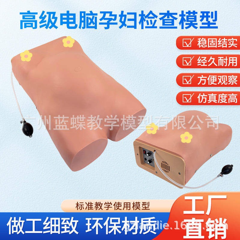 孕妇电脑触诊检查模型可听胎心四段腹部高级胎儿心音听诊训练模型