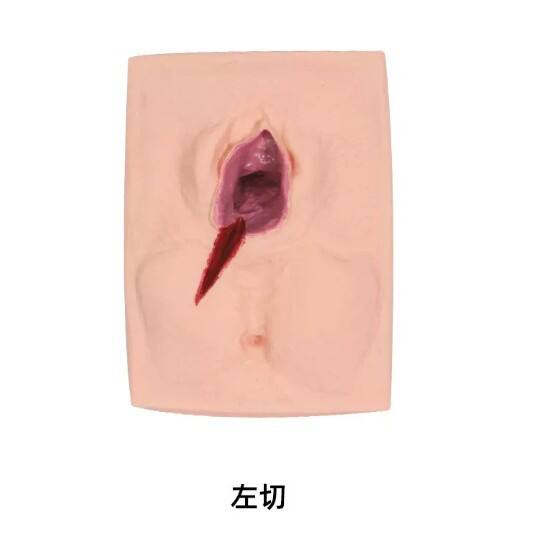 缝合会阴切开训练女性模型会阴侧切训练手术模型外阴训练练习模型