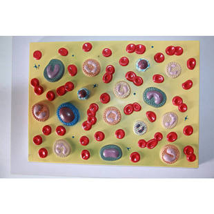 海医人体组成放大模型细胞模型红细胞白细胞血液血细胞细胞结构