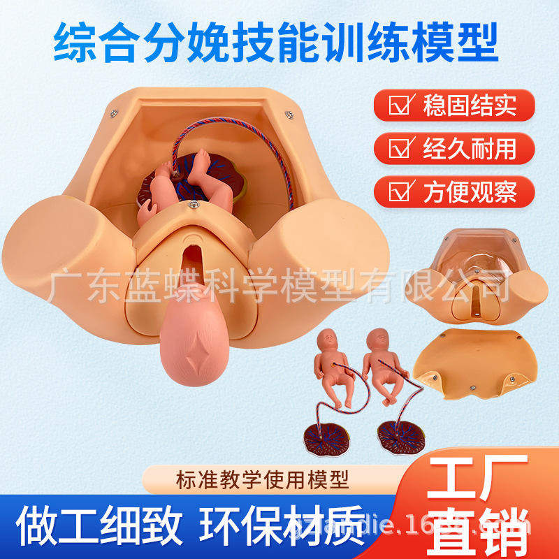 高级分娩综合技能训练模型孕妇分娩模型顺产女性分娩模拟人体模型