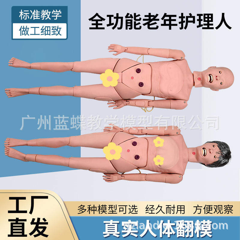 养老护理全老年假人护理人模型橡皮功能训练教学血压测量模拟人