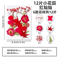 Цветочное поле красные таблетки Chancan-12