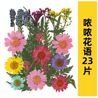 Хаки, 23 штук