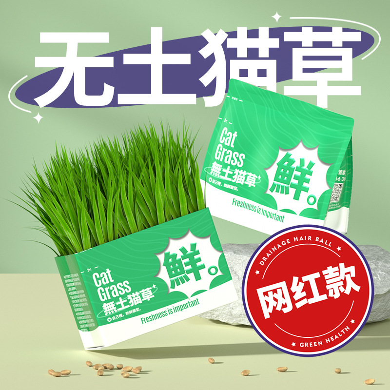无土水培猫草盆栽化毛吐毛球营养